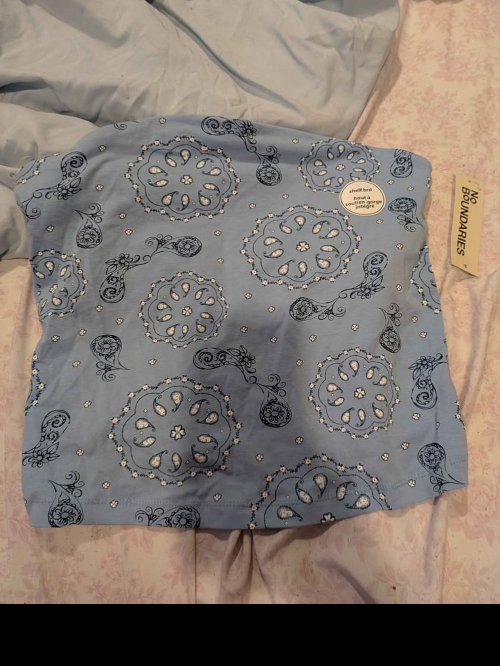 No Boundaries Light Blue Paisley Print